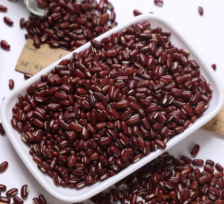 赤小豆种子 芽苗菜种子 也可做豆馅 熬粥 药材 当季新货